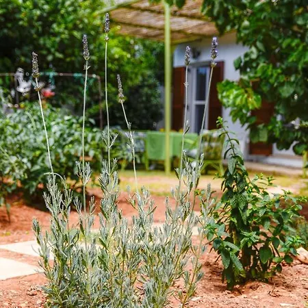 Gaia Apartmán Hersonissos (Crete)